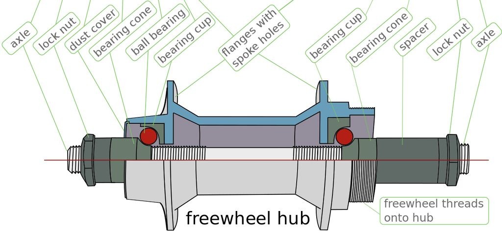 Freewheel Hub Cut Apart
